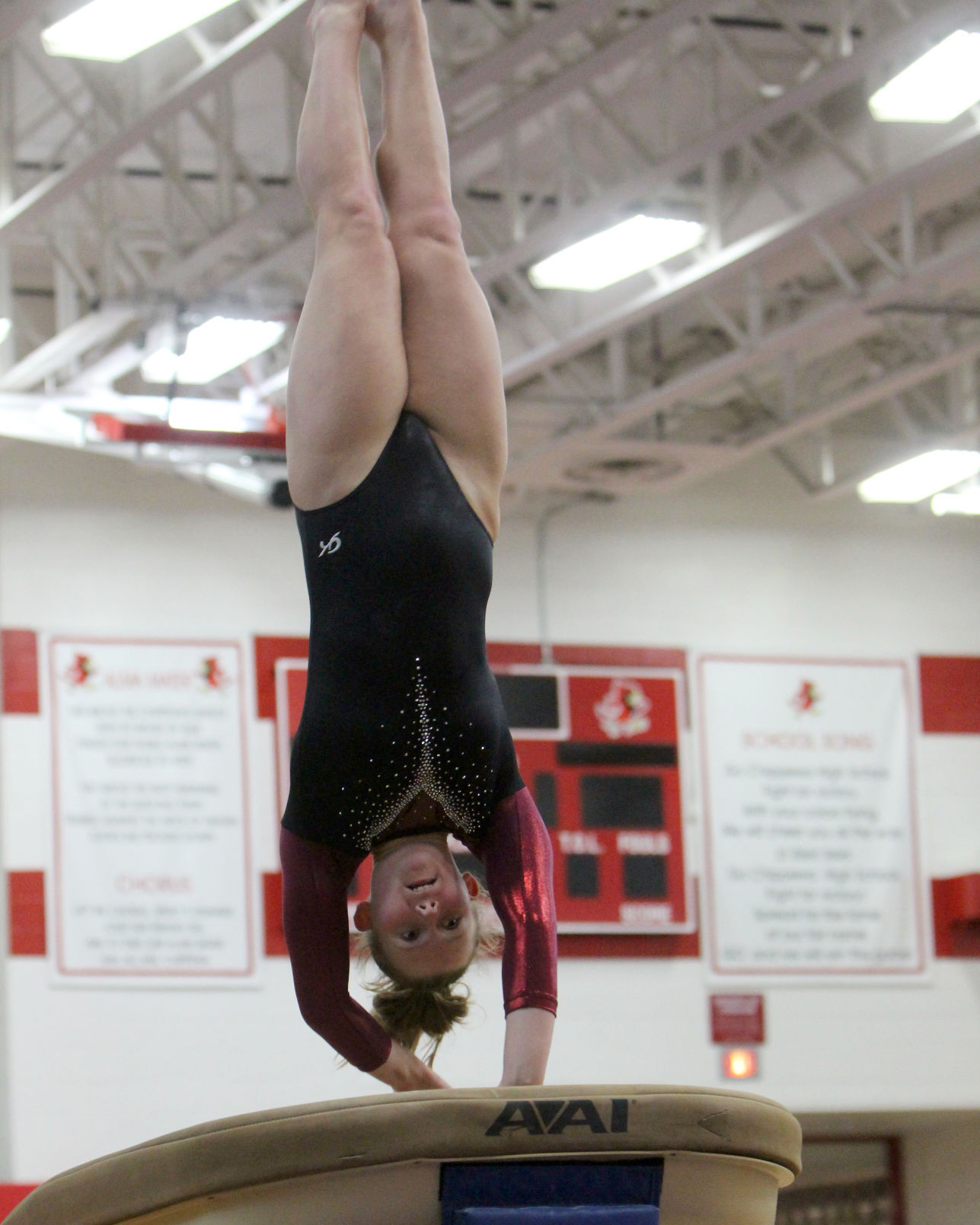 Chippewa Falls Gymnastics Triangular 1-16-21